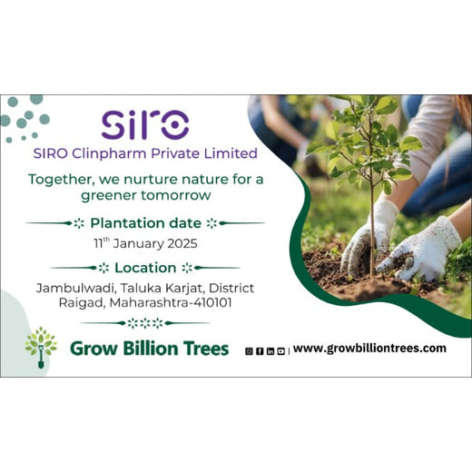 SIRO Clinpharm: Planting Trees for a Greener New Year – Planting
