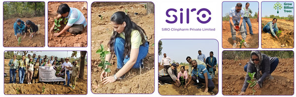 A Step Toward Sustainability: SIRO Clinpharm’s New Year Tree Plantation Initiative for a Greener, Healthier Future