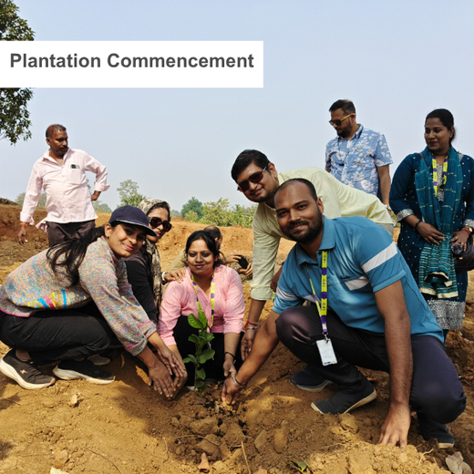 SIRO Clinpharm: Planting Trees for a Greener New Year – Planting