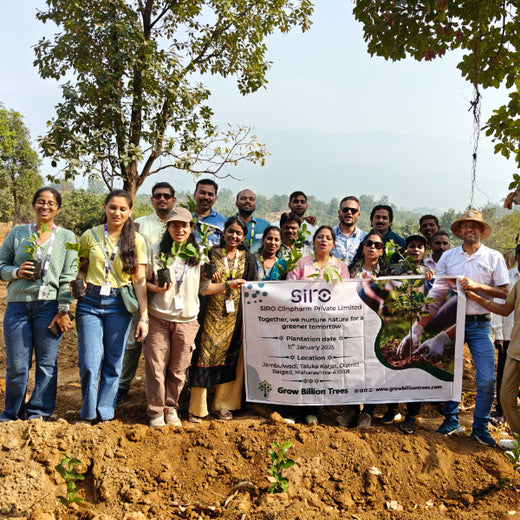 SIRO Clinpharm: Planting Trees for a Greener New Year – Planting