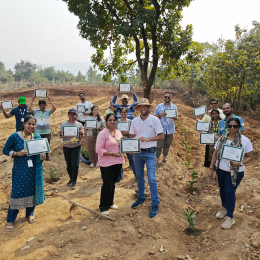 SIRO Clinpharm: Planting Trees for a Greener New Year – Planting