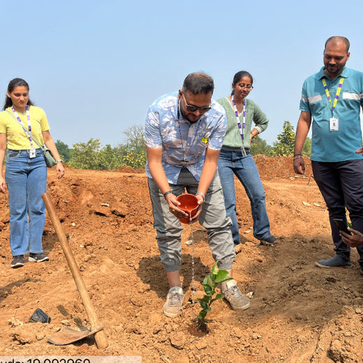 SIRO Clinpharm: Planting Trees for a Greener New Year – Planting