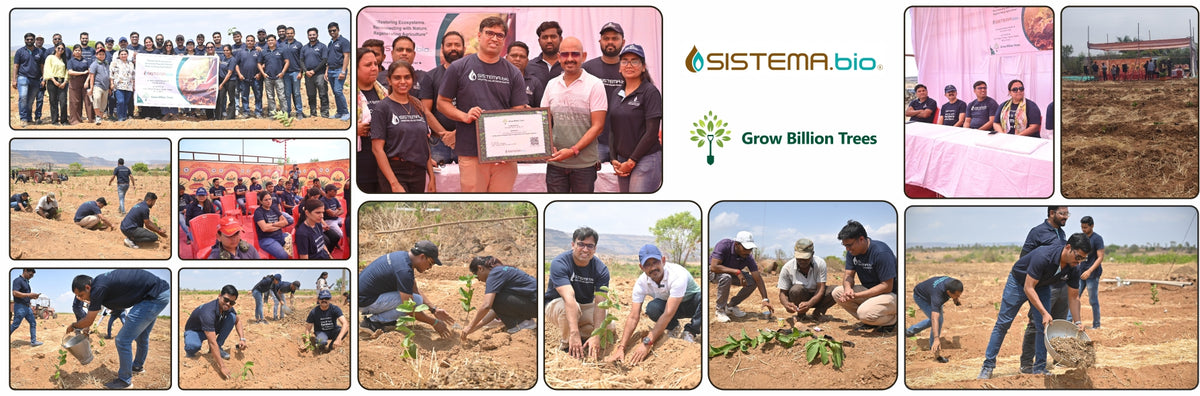 Digester to Forest: Sistema.bio’s Regenerative Agroforest Drive