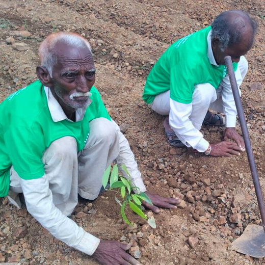 Sunraj Travels: Building Community Forests with Every Holiday – Planting
