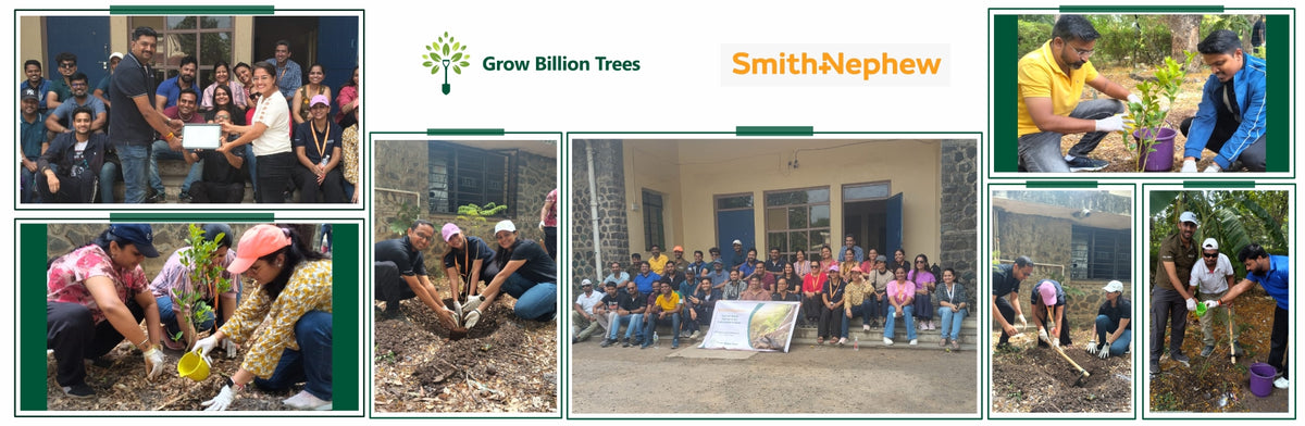 Planting for Progress: Smith & Nephew’s Green Initiative