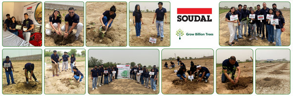 Soudal India Goes Green: Agroforestry on World Environment Day