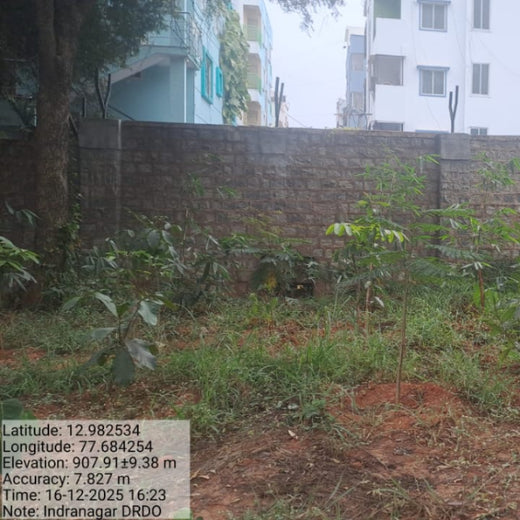 Urban Roots, Global Impact: Spencer Stuart’s Environmental Initiative – 1 year