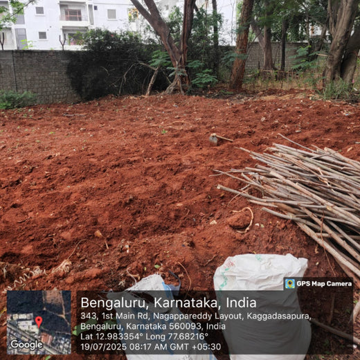 Urban Roots, Global Impact: Spencer Stuart’s Environmental Initiative – Planting
