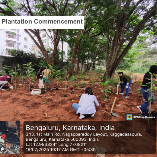 Urban Roots, Global Impact: Spencer Stuart’s Environmental Initiative – 6 months