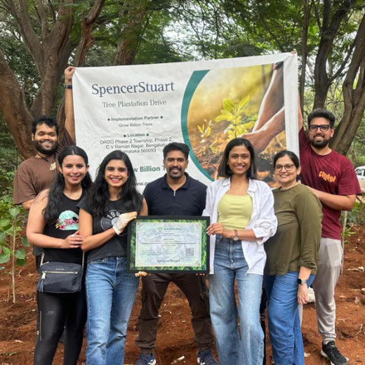 Urban Roots, Global Impact: Spencer Stuart’s Environmental Initiative – 6 months