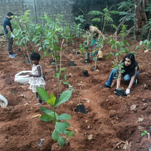 Urban Roots, Global Impact: Spencer Stuart’s Environmental Initiative – 6 months