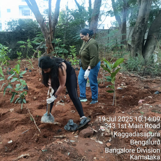 Urban Roots, Global Impact: Spencer Stuart’s Environmental Initiative – 6 months