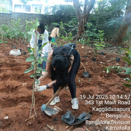 Urban Roots, Global Impact: Spencer Stuart’s Environmental Initiative – 6 months