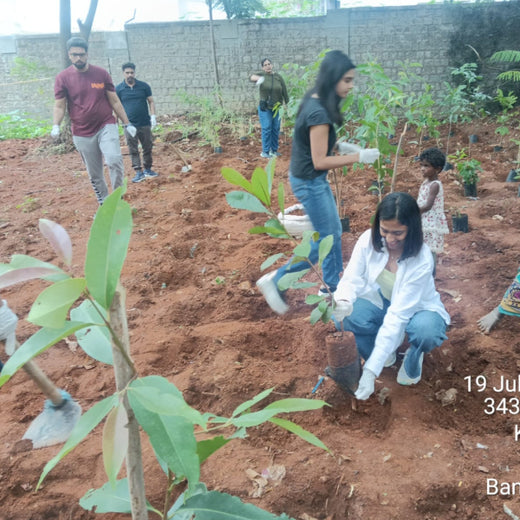 Urban Roots, Global Impact: Spencer Stuart’s Environmental Initiative – 6 months