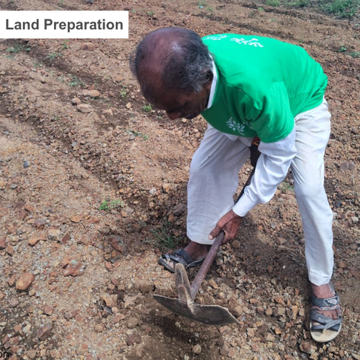 Sunraj Travels: Building Community Forests with Every Holiday – Planting