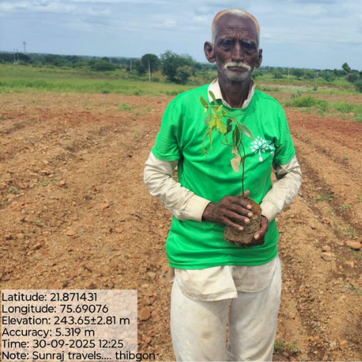 Sunraj Travels: Building Community Forests with Every Holiday – Planting