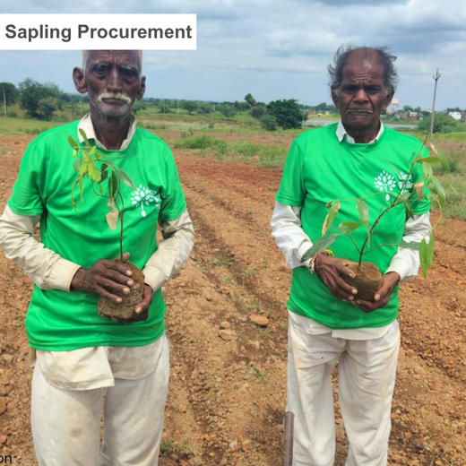 Sunraj Travels: Building Community Forests with Every Holiday – Planting