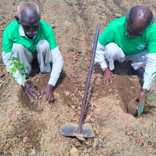 Sunraj Travels: Building Community Forests with Every Holiday – Planting