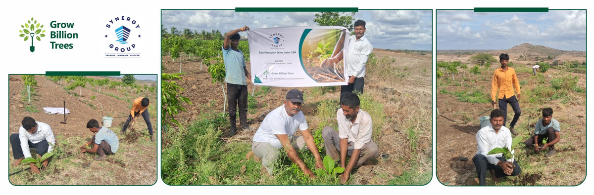 World Environment Day Tree Plantation by SYNERGY MARITIME