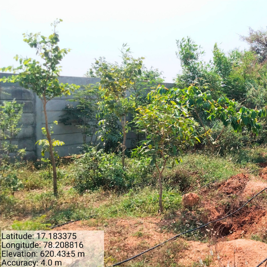 TEDxSIU Lavale – Inspiring Action, Growing a Greener Tomorrow – Planting