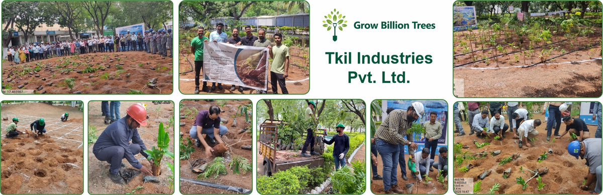 Mini Forests, Mighty Impact: TKIL’s Green Action on World Environment Day