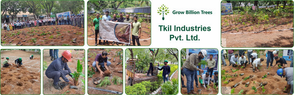 Mini Forests, Mighty Impact: TKIL’s Green Action on World Environment Day