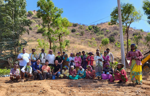 Tree Plantation Drive On Earth Day: Your Green Action Guide