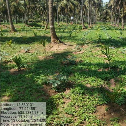 Tally Solutions Private Limited’s Sustainability Initiative – 6 months