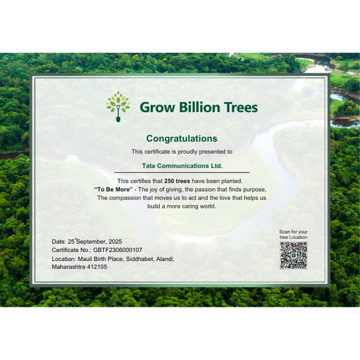 Transforming Cityscapes: Tata Communications’ Tree Plantation Drive – 6 months