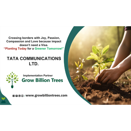 Transforming Cityscapes: Tata Communications’ Tree Plantation Drive – 6 months