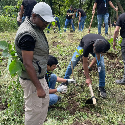 Transforming Cityscapes: Tata Communications’ Tree Plantation Drive – 6 months