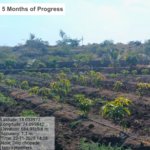 Nature’s Sparkle: Tattva Jewellers' Green Gift to Customers – 6 months