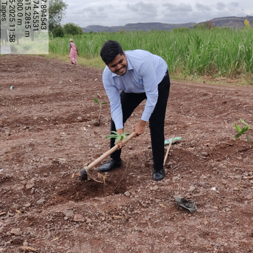 Bonding with Nature: tesa Tapes' Carbon-Conscious Celebration – 6 months