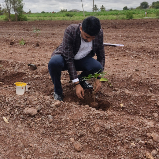 Bonding with Nature: tesa Tapes' Carbon-Conscious Celebration – 6 months