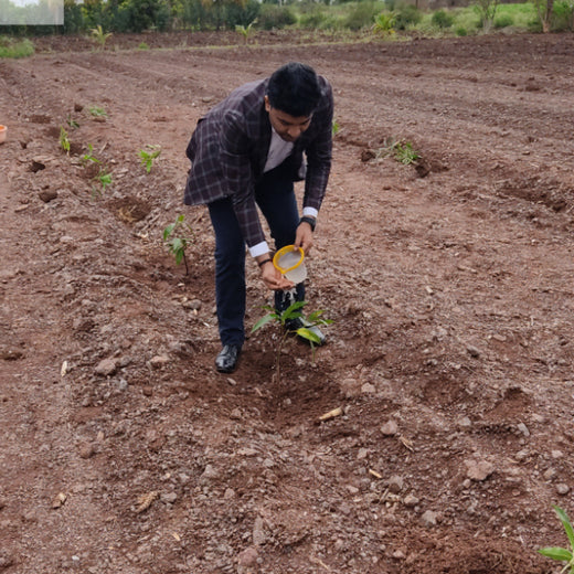 Bonding with Nature: tesa Tapes' Carbon-Conscious Celebration – 6 months