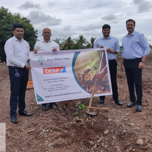 Bonding with Nature: tesa Tapes' Carbon-Conscious Celebration – 6 months
