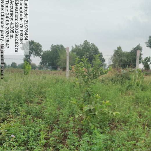The Climate Party: Cultivating a Greener Future Through Agroforestry – Planting