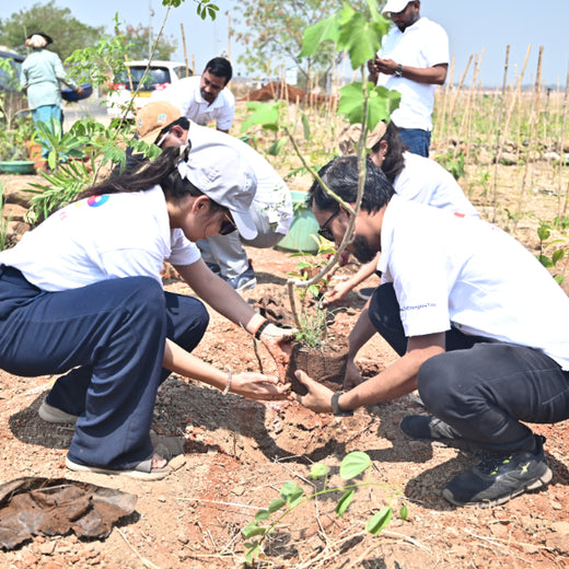 Greening the Grid: TotalEnergies’ Urban Forest Initiative – Planting