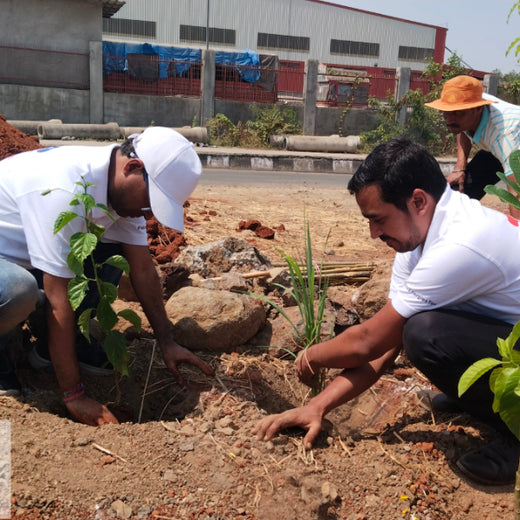Greening the Grid: TotalEnergies’ Urban Forest Initiative – Planting