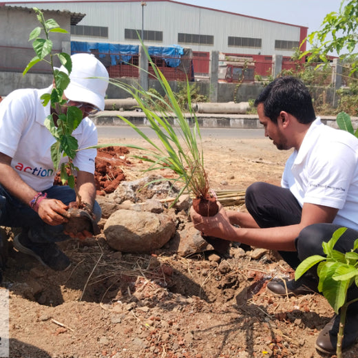 Greening the Grid: TotalEnergies’ Urban Forest Initiative – Planting