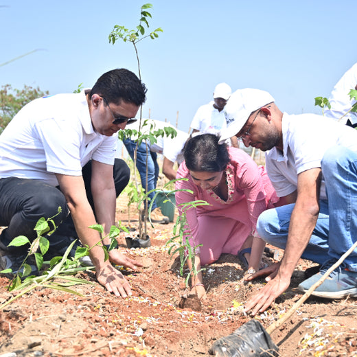 Greening the Grid: TotalEnergies’ Urban Forest Initiative – Planting
