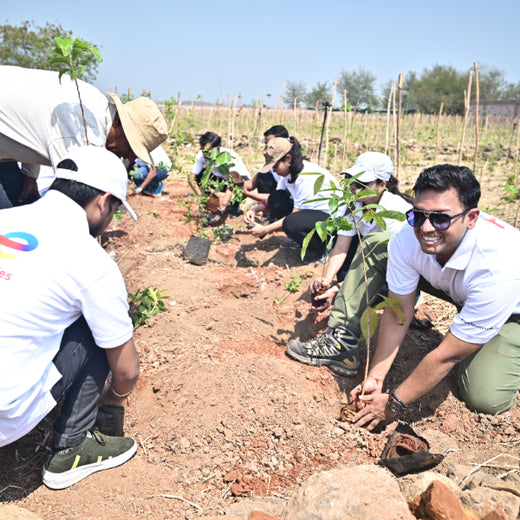 Greening the Grid: TotalEnergies’ Urban Forest Initiative – Planting