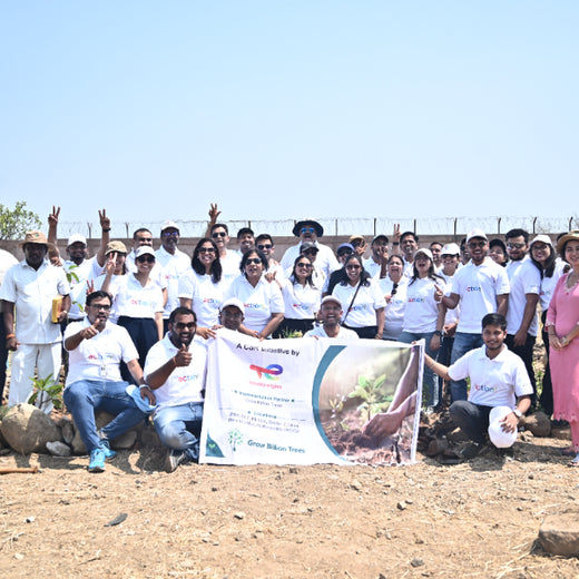 Greening the Grid: TotalEnergies’ Urban Forest Initiative – Planting