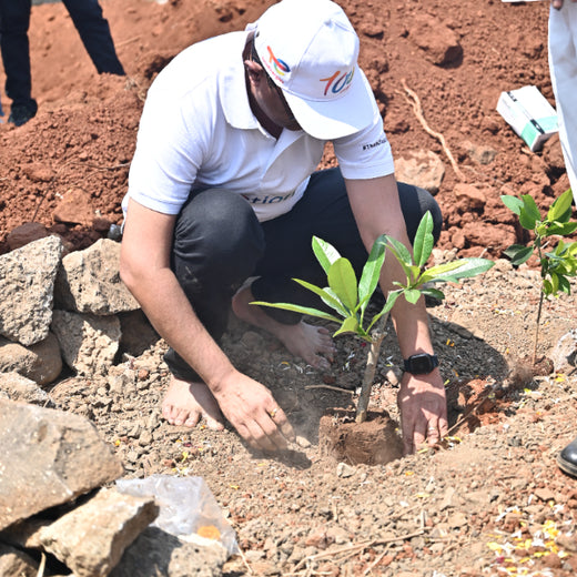 Greening the Grid: TotalEnergies’ Urban Forest Initiative – Planting