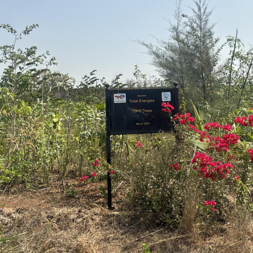 Greening the Grid: TotalEnergies’ Urban Forest Initiative – 2 years