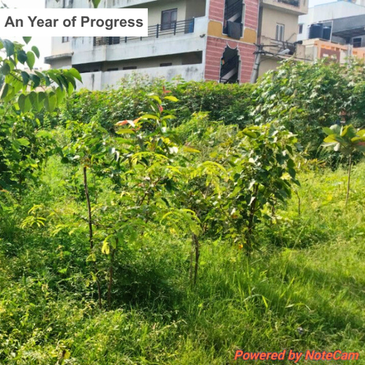TotalEnergies Brings Together Teams to Grow an Urban Micro Forest – 2 years