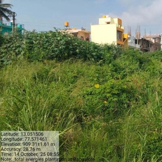 TotalEnergies Brings Together Teams to Grow an Urban Micro Forest – 2 years