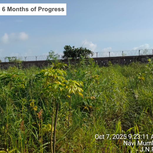 Greening the Grid: TotalEnergies’ Urban Forest Initiative – 1 year