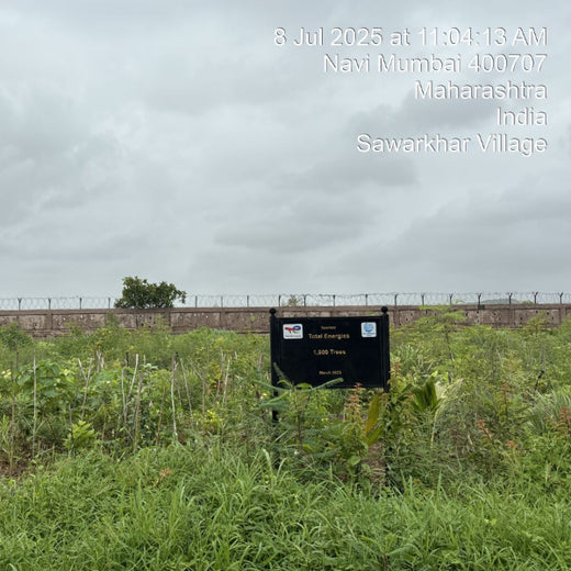 Greening the Grid: TotalEnergies’ Urban Forest Initiative – 6 months