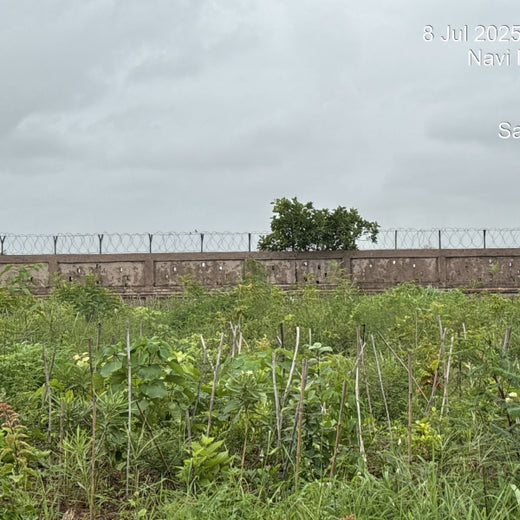 Greening the Grid: TotalEnergies’ Urban Forest Initiative – 6 months